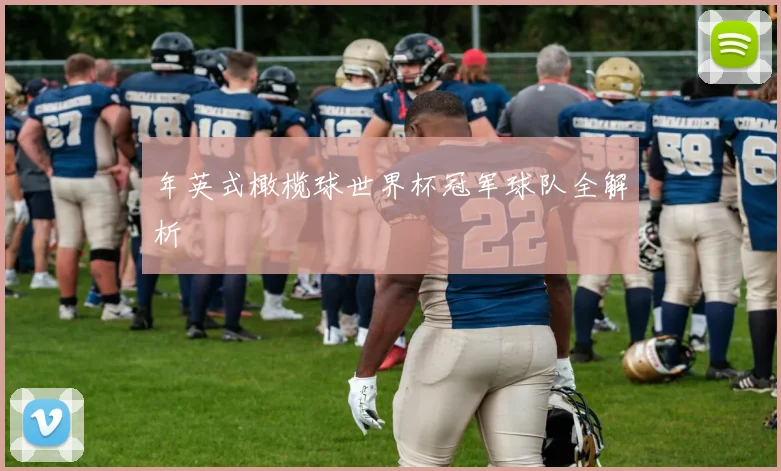 年英式橄榄球世界杯冠军球队全解析