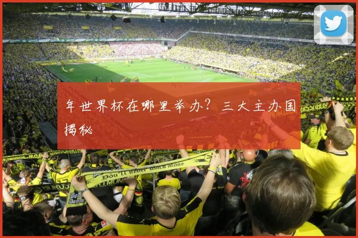年世界杯在哪里举办？三大主办国揭秘